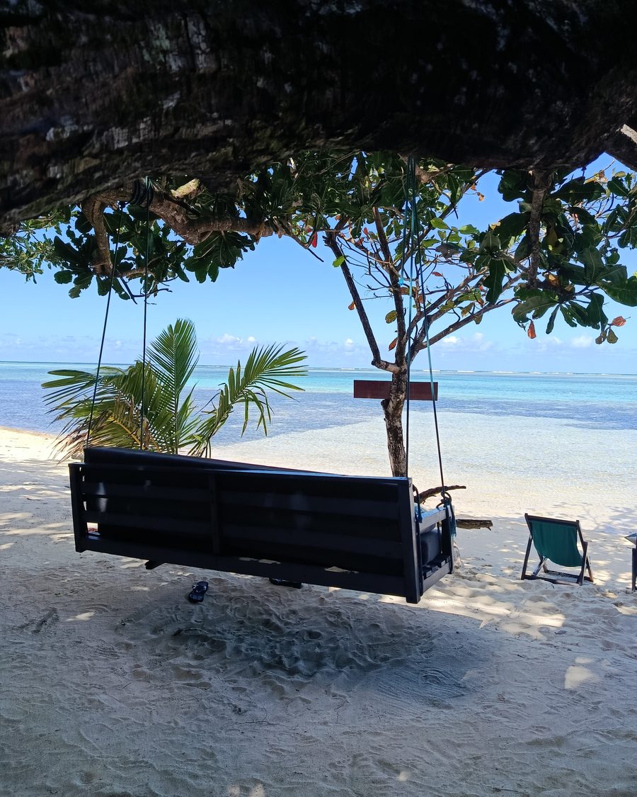 Banc-balançoire en bois suspendu à un arbre, sur une plage face à la mer