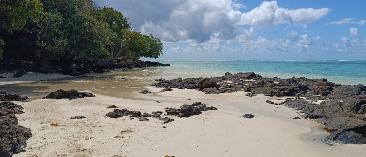 Plage semée de rochers sombres au pied d'un cap boisé